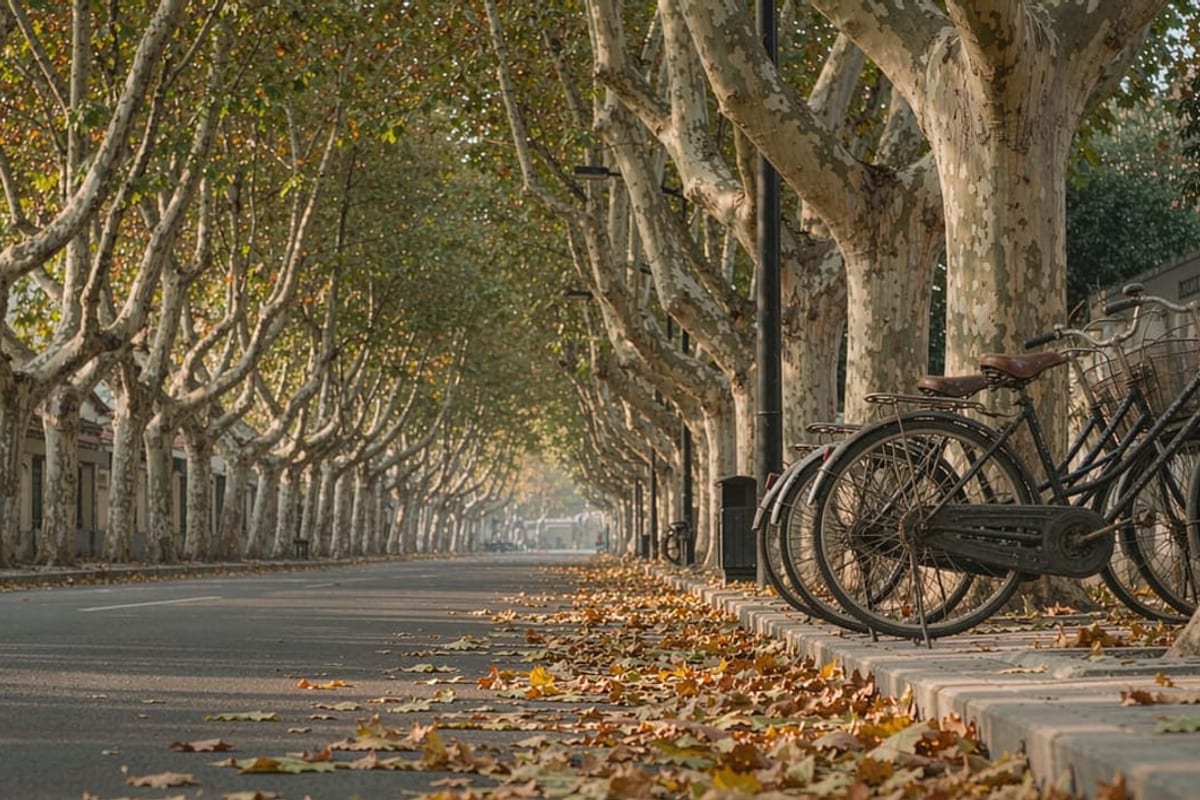 Avenida arborizada em Nanjing