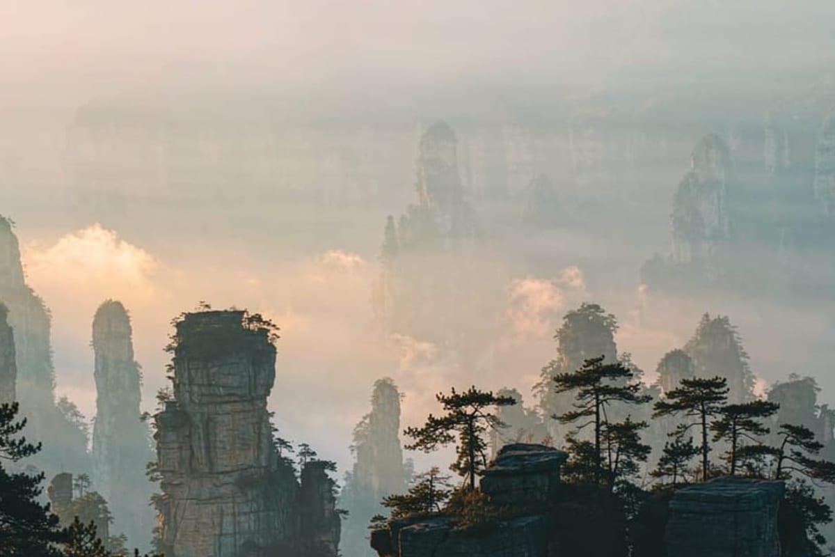 Neblina entre os pilares de arenito de Zhangjiajie ao nascer do sol