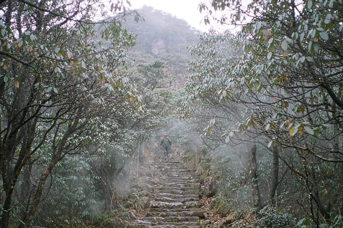 Trilha de pedra em montanha com neblina
